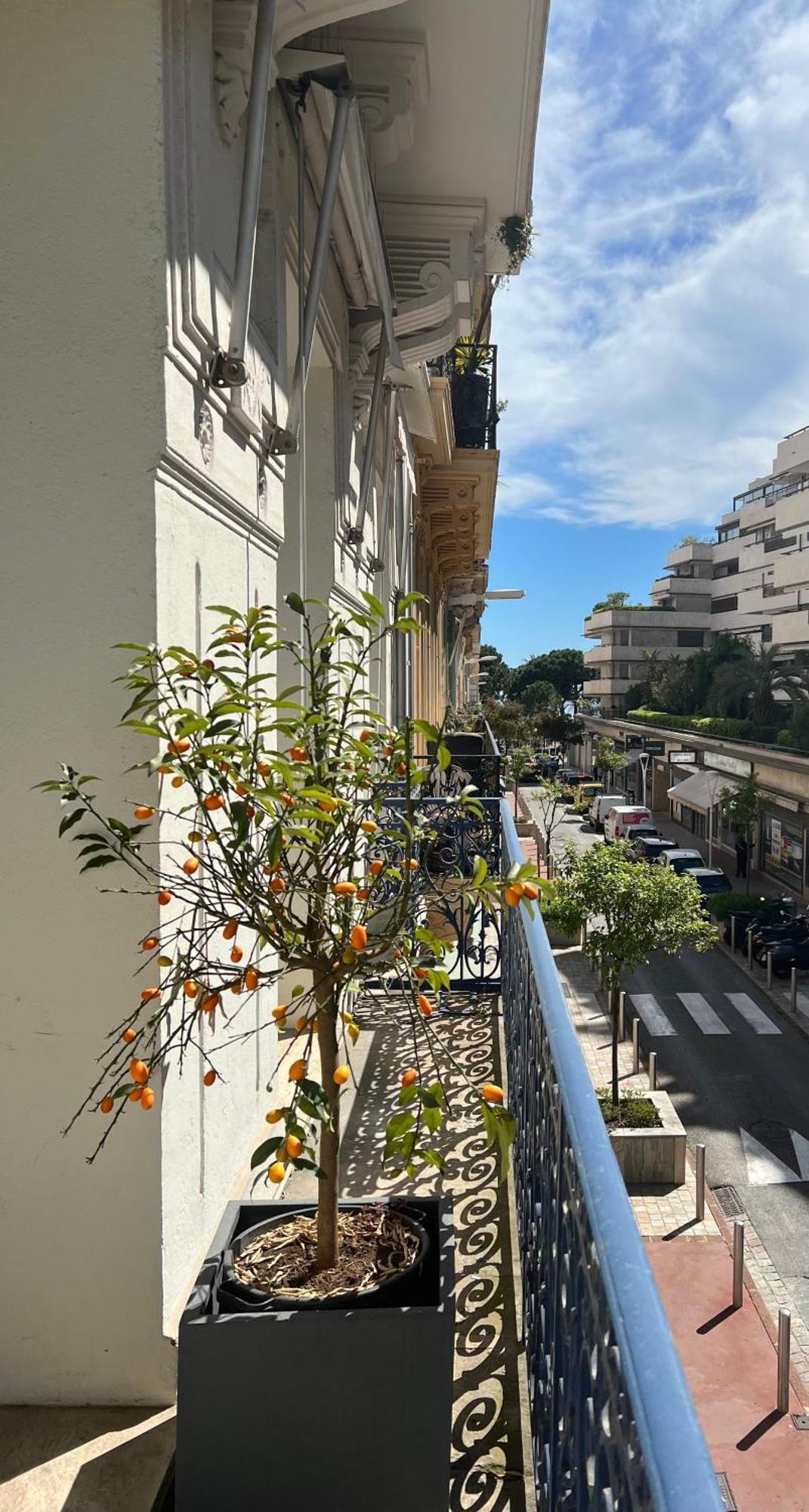 D'exception Croisette Apartment
